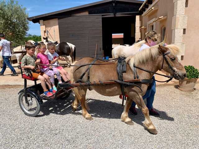 pony express mallorca