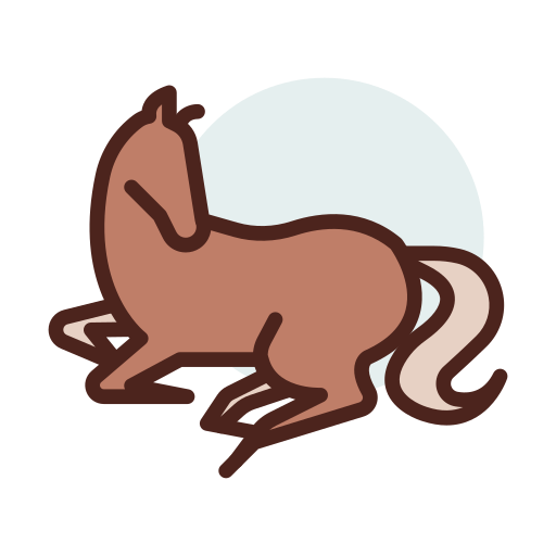 Ponis para eventos y celebraciones en Mallorca