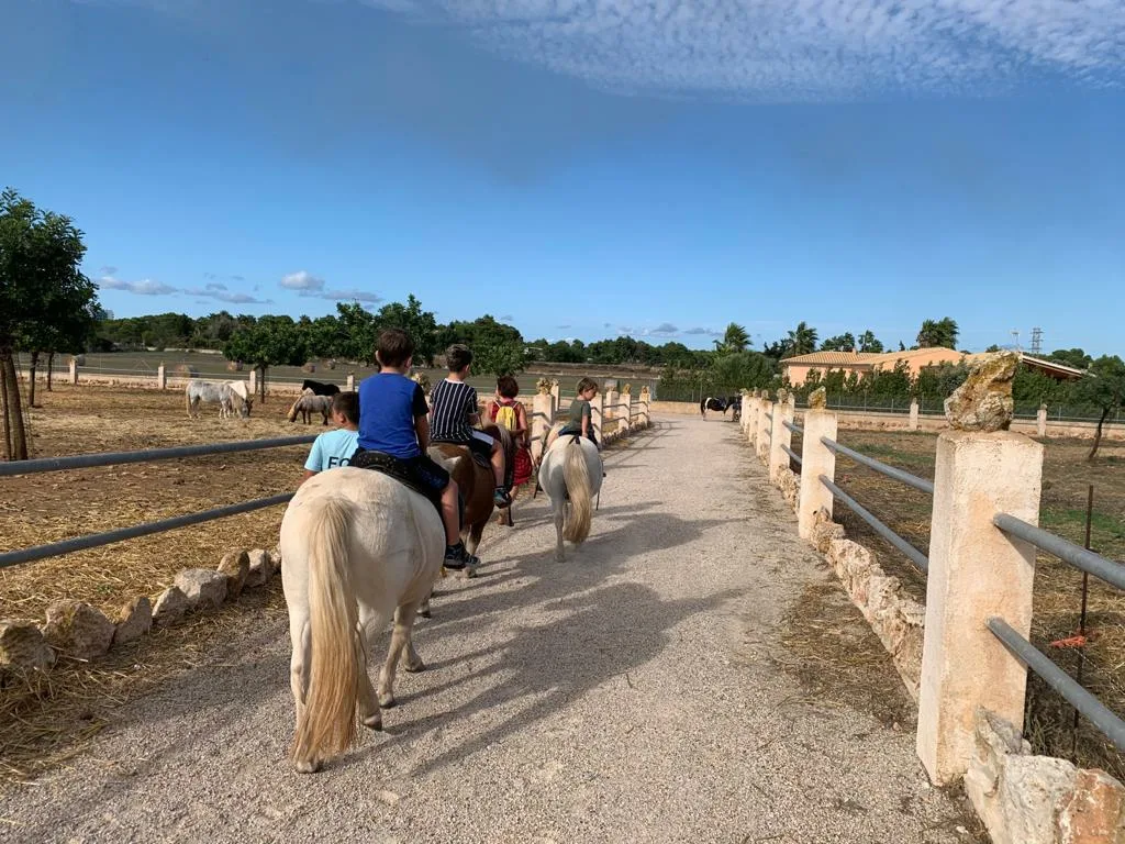 pony express mallorca en Palma de mallorca. Alquiler de ponis Mallorca, fiestas de cumpleaños y día montando ponis.