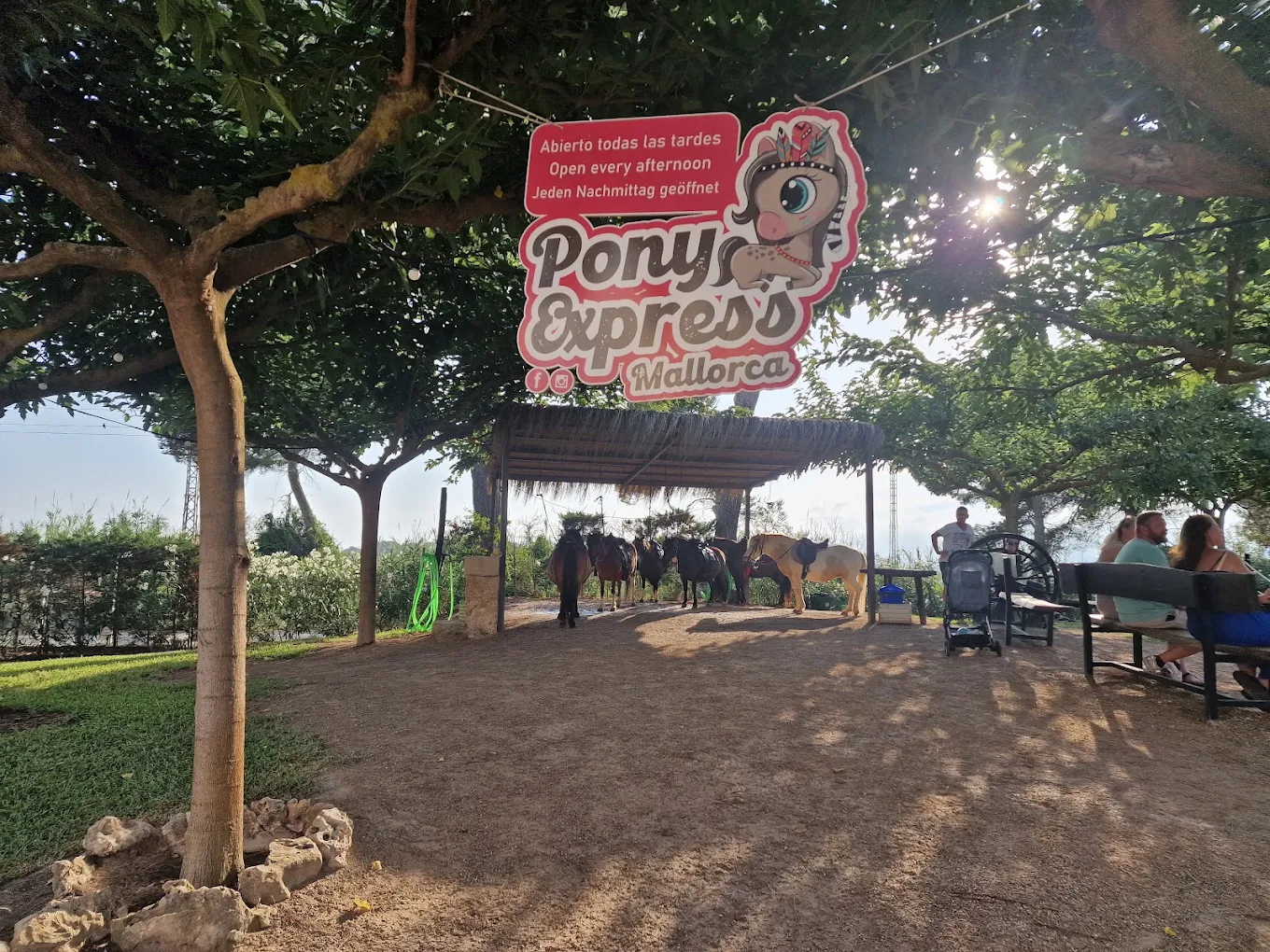 pony express mallorca en Palma de mallorca. Alquiler de ponis Mallorca, fiestas de cumpleaños y día montando ponis.
