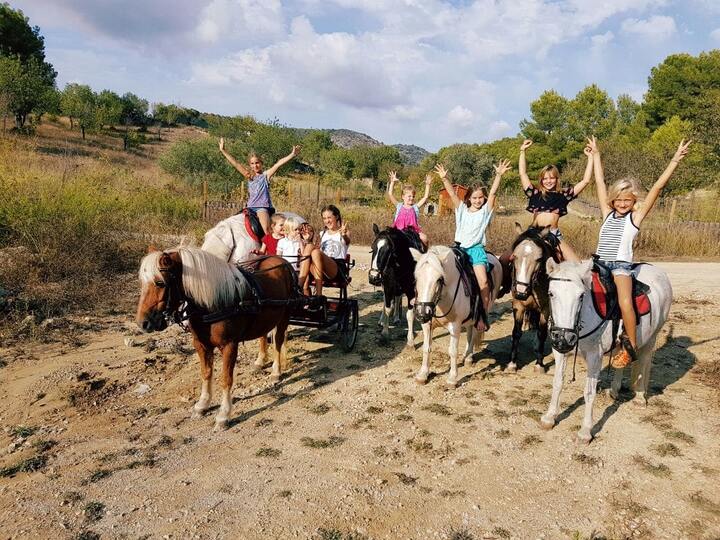 pony express mallorca en Palma de mallorca. Alquiler de ponis Mallorca, fiestas de cumpleaños y día montando ponis.