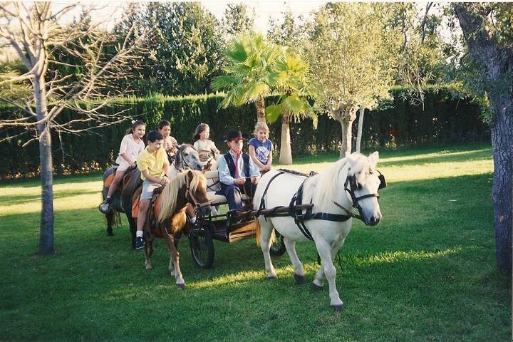 ponis palma de mallorca en Palma de mallorca. Alquiler de ponis Mallorca, fiestas de cumpleaños y día montando ponis.