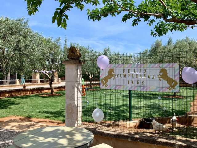 pony express mallorca en Palma de mallorca. Alquiler de ponis Mallorca, fiestas de cumpleaños y día montando ponis.