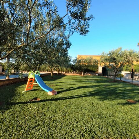 pony express mallorca en Fraser Island Beach Track, Fraser Island, Australia. Alquiler de ponis Mallorca, fiestas de cumpleaños y día montando ponis.