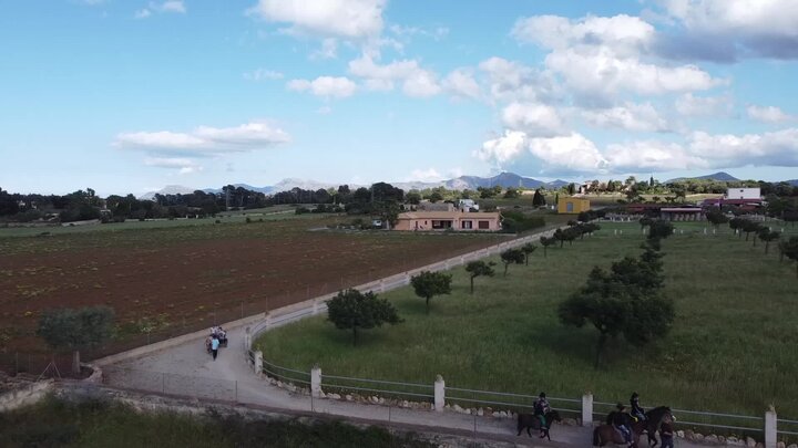 pony express mallorca en Palma de mallorca. Alquiler de ponis Mallorca, fiestas de cumpleaños y día montando ponis.