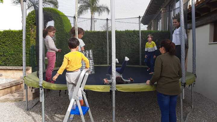 ponis palma de mallorca en Palma de mallorca. Alquiler de ponis Mallorca, fiestas de cumpleaños y día montando ponis.