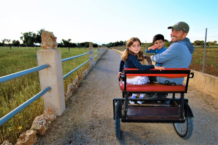 ponis palma de mallorca en Palma de mallorca. Alquiler de ponis Mallorca, fiestas de cumpleaños y día montando ponis.